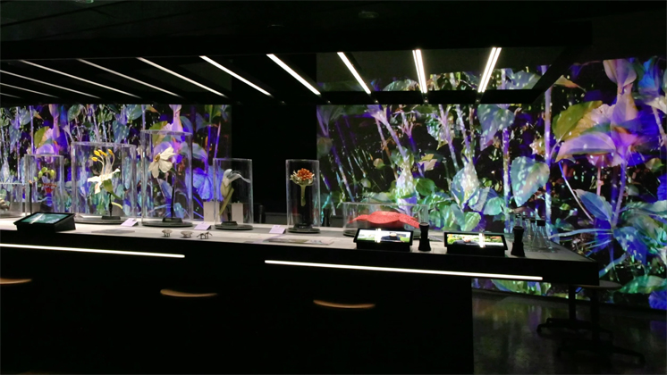 -2_mariarosa_3_2_Pflanzen