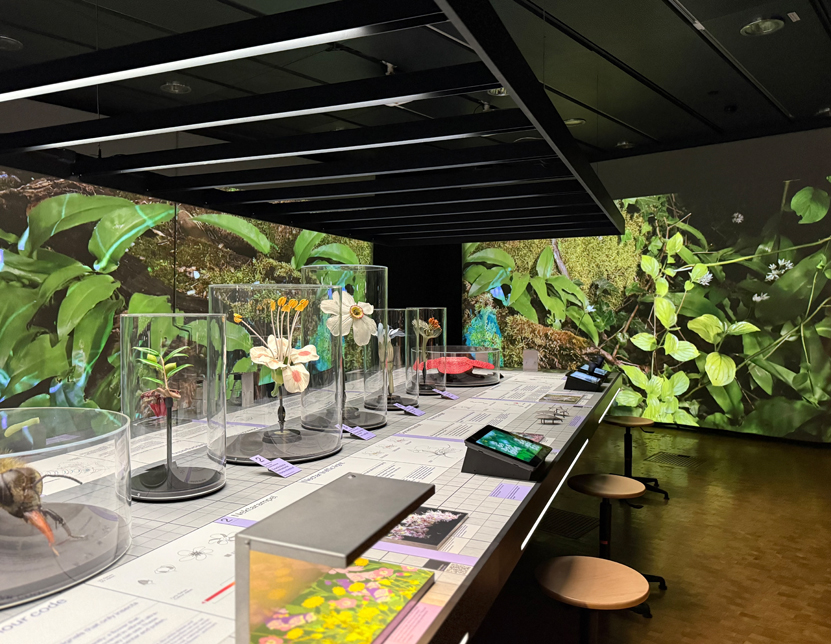 -2_mariarosa_3_3_Pflanzen