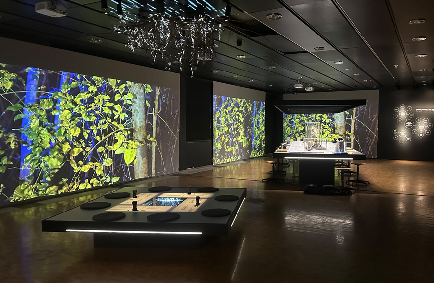 -2_mariarosa_3_4_Pflanzen