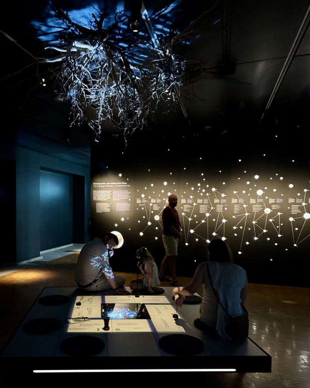 -2_mariarosa_3_6_2_Pflanzen