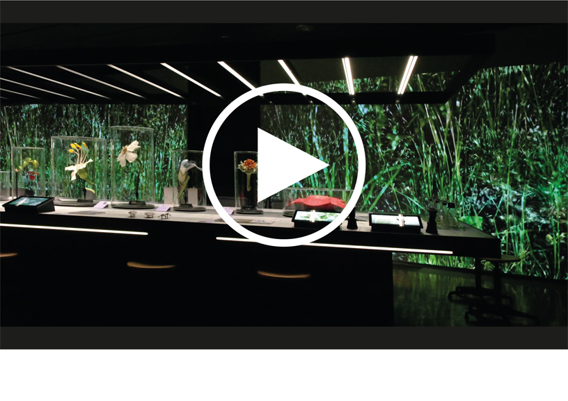 -2_mariarosa_3_Video